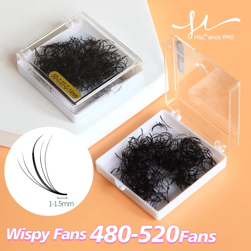 Eyelash Extension Hybrid - H & L SINCE 1990, готовые